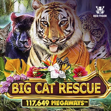 Redtiger : Big Cat Rescue Megaways - MEGABET808